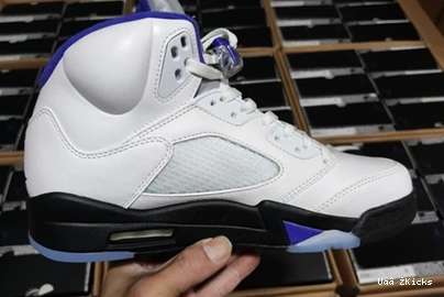 DD0587-141 Fashionable CONCORD Air Jordan5 587 0730